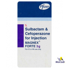 Magnex 1gm Injection