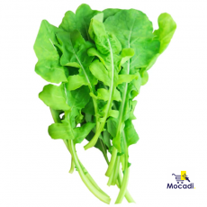 Arugula Rocket Seeds