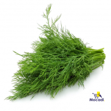 Florance Fennel Seeds