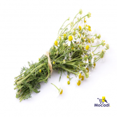 German Chamomile Seeds