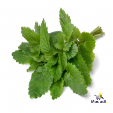 Lemon Balm Seeds