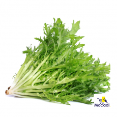 Organic Endive Ruffec Seeds