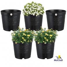 Plants Nursery Seedlings Pot