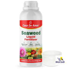 Casa De Amor Essential Seaweed...