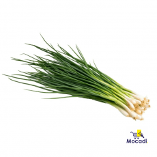 Spring Onion
