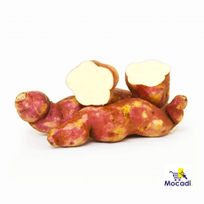 Sweet Potato