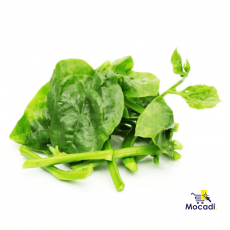 Basale Leaf