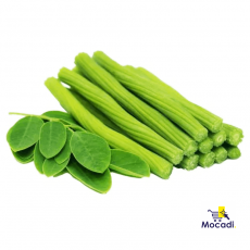 Drumstick/Moringa