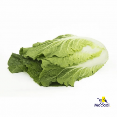 Chinese Cabbage
