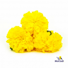 Marigold Flower - Yellow, 1 kg