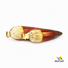 Banana Flower 