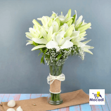 White Lily Love