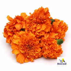 Marigold - Orange