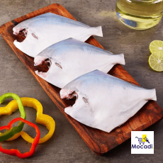 White Pomfret Fish
