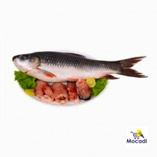 Bengali Hilsa Fish