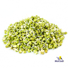 Sprouts-Moong Green