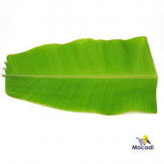 Banana Leaf