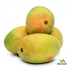 Alphonso Mango