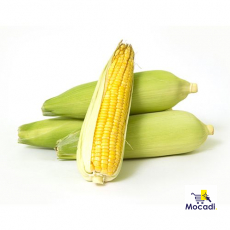 Sweet Corn