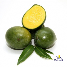 Kalaphad Mango