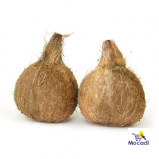Coconut - Organically Grown