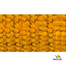 Marigold Garlands orange