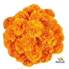 Marigold Flower Heads Bulk 50Pcs