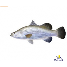 OrthoZahab Frozen Seafood (Fish)
